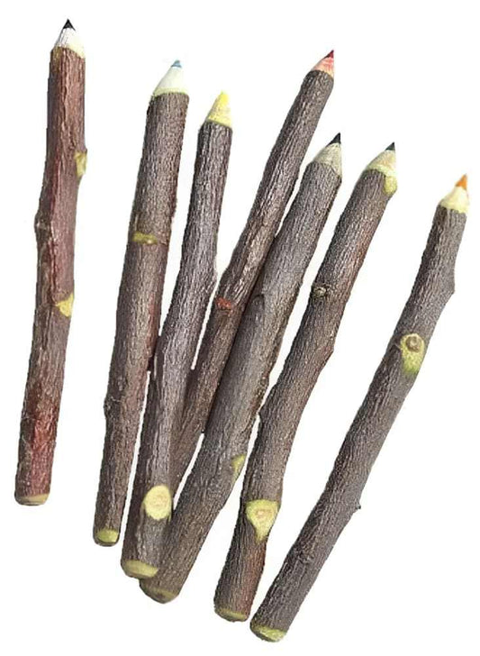 Apple Pencil: 7 Color Choices Of Twig Pencils